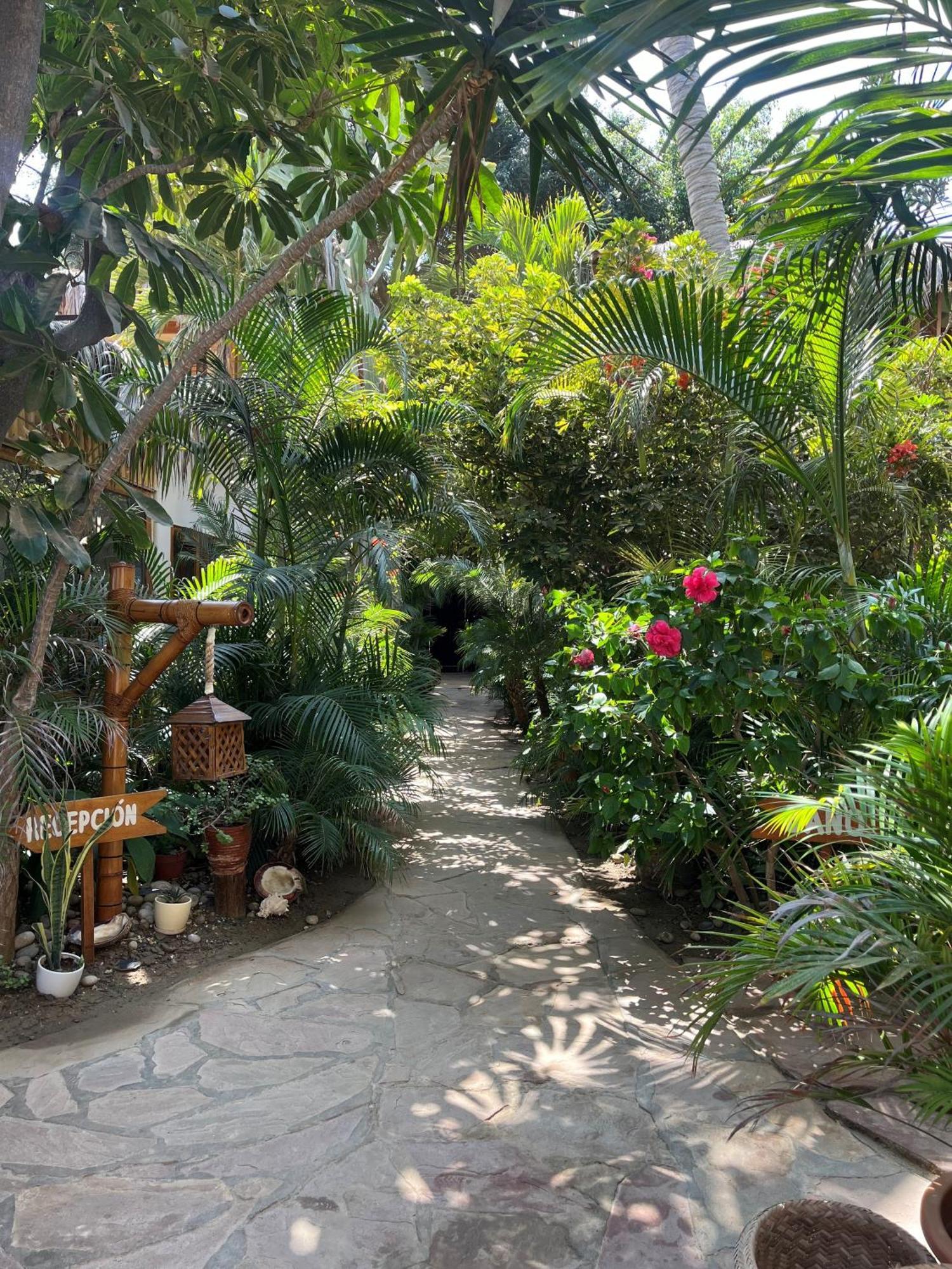 Los Corales Манкора Экстерьер фото